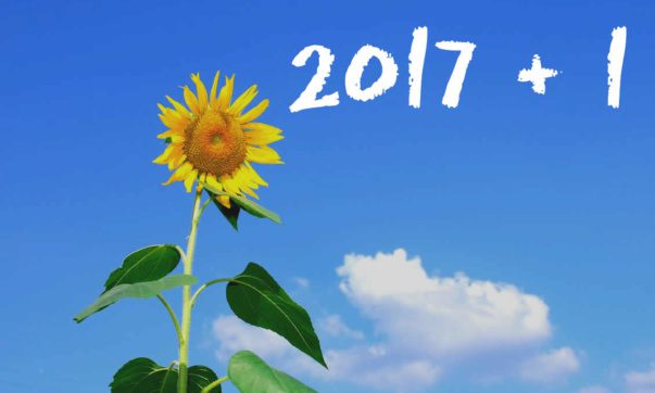 summer-sunflower-flowers-sky-2018