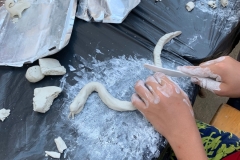 ClubulBiblic_ZileleCreatiei_13